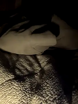 Pumpkin_bunny webcam