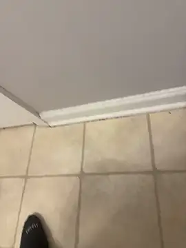 your_pervy_son webcam