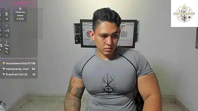 Colton_Massif webcam