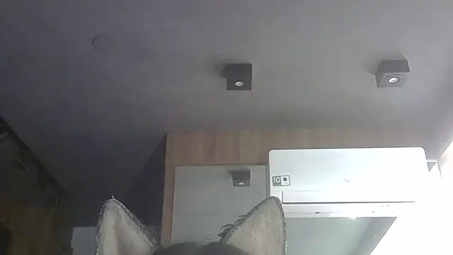 SkinnyKitten webcam