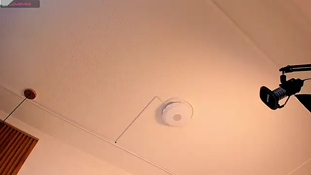 Alaska_deluxe webcam