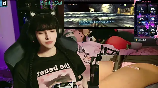 BimboCat webcam