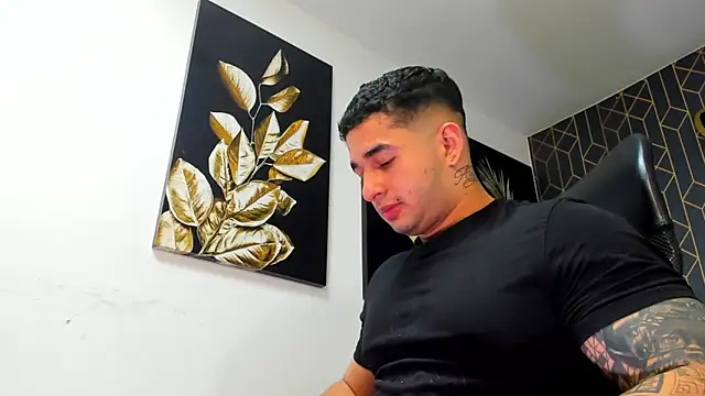 king_falconer webcam