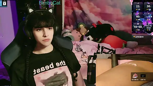 BimboCat webcam