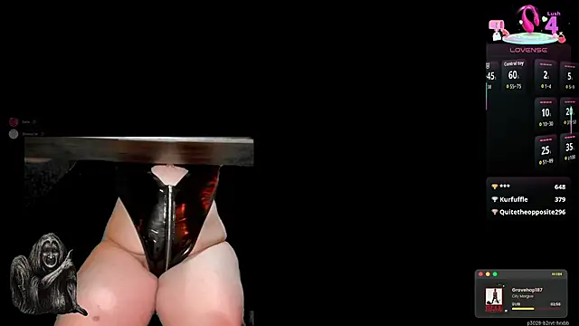 baileymonarch webcam