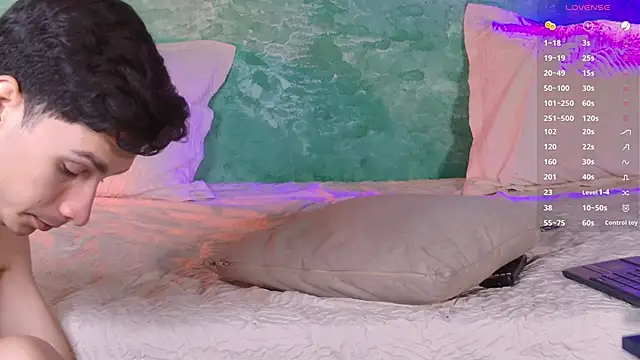 VicenteFerrer webcam