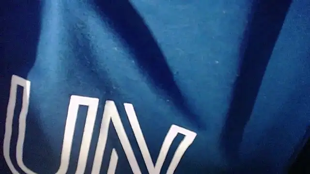 Denzo_cornell1 webcam