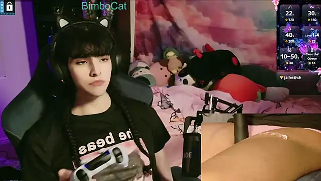 BimboCat webcam