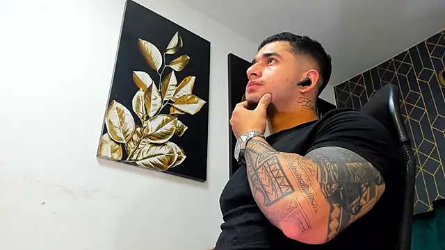 king_falconer webcam