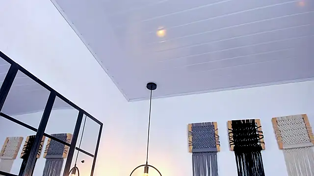 Sweet_camille webcam