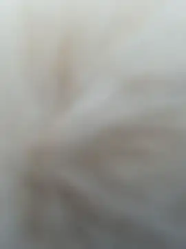 AngelinaTeller webcam