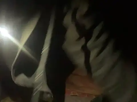 SlimeCrownzOut5 webcam