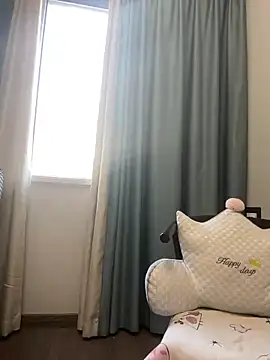 serendipity-520 webcam