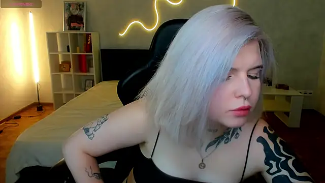 shadow__purrr webcam