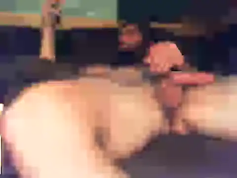 Sitonmyface2020@xh webcam