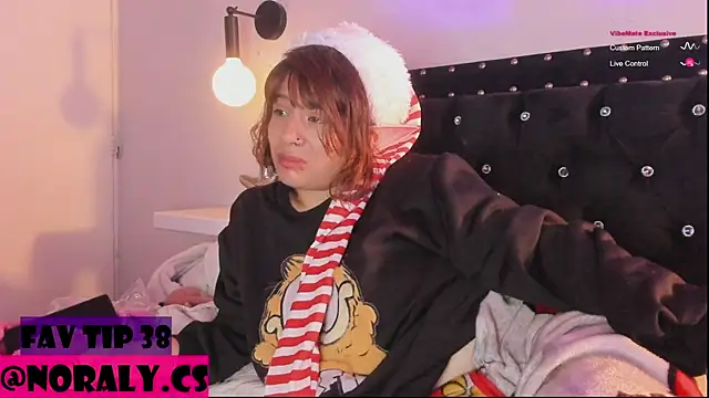hey_noraly webcam