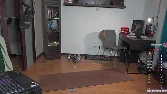 VIktorSecret webcam