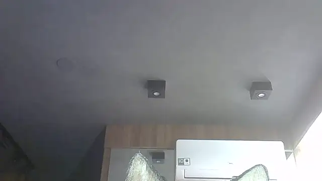 SkinnyKitten webcam