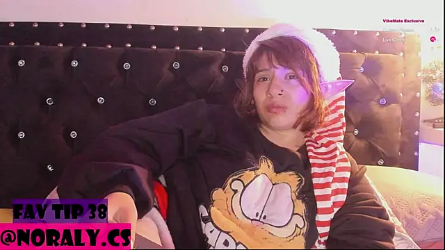 hey_noraly webcam