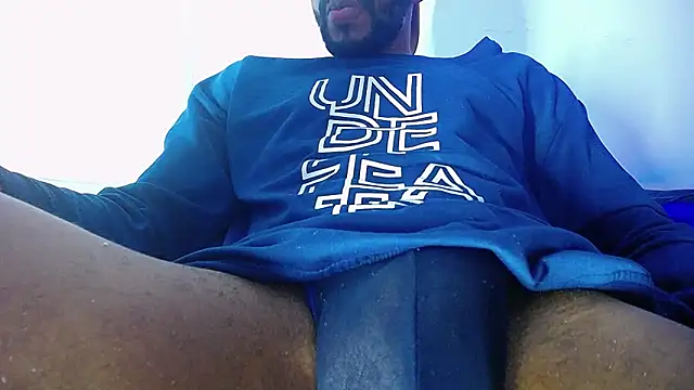 Denzo_cornell1 webcam