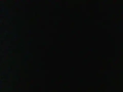 PitbullDiablo1 webcam