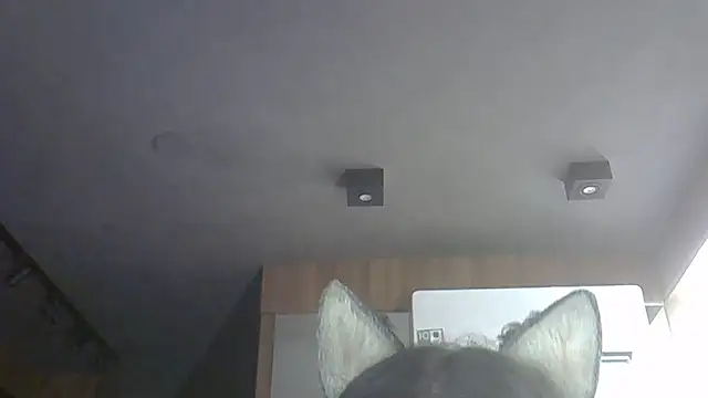 skinnykitten (T young) - show belly🔎mostrar barriga