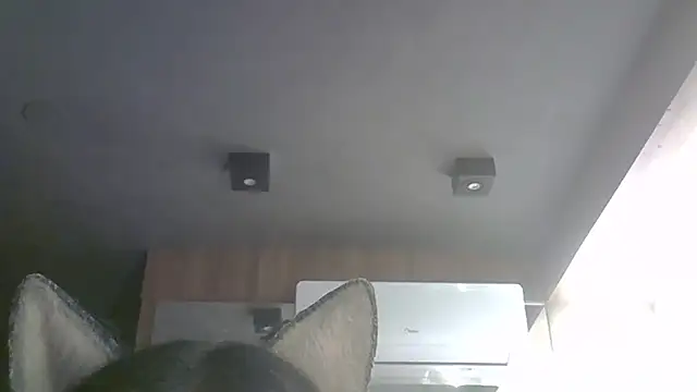 SkinnyKitten webcam