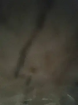 kia_lustangel - Kia_lustangel's free webcam - UK Sex Cams