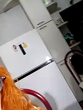 Bellatriz-horse webcam