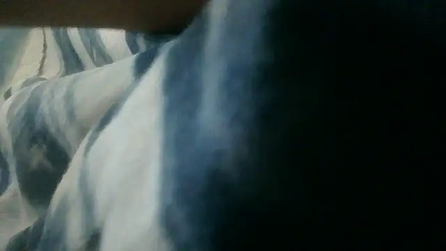 NuttyProfesir webcam