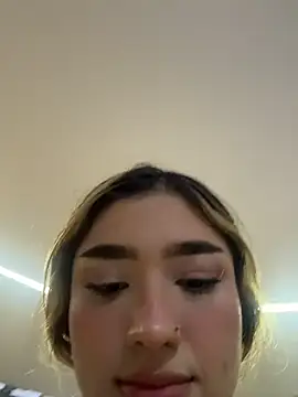 Arianavillada webcam