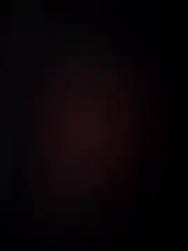 SplitPrestige19 webcam