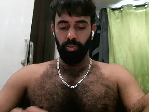 indianhairybull webcam
