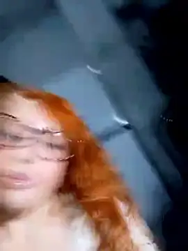 Bellatriz-horse webcam