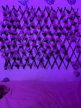 Dominic_Schmit01 webcam