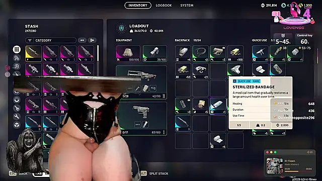 baileymonarch webcam