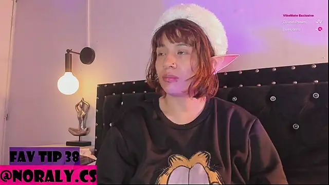 hey_noraly webcam