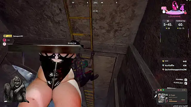 baileymonarch webcam