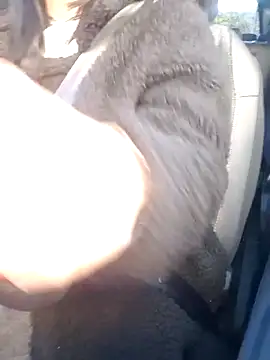 misscectito13 webcam