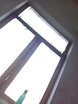 Sunita-collage webcam