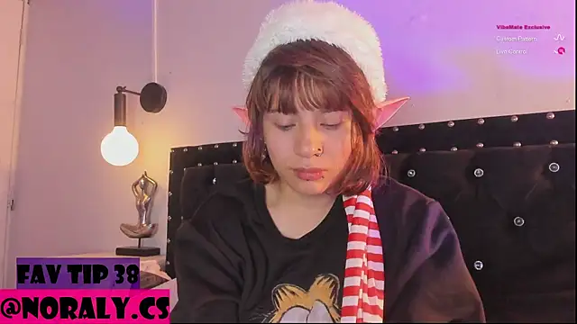 hey_noraly webcam