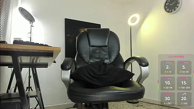 Nicolas_Fellener webcam