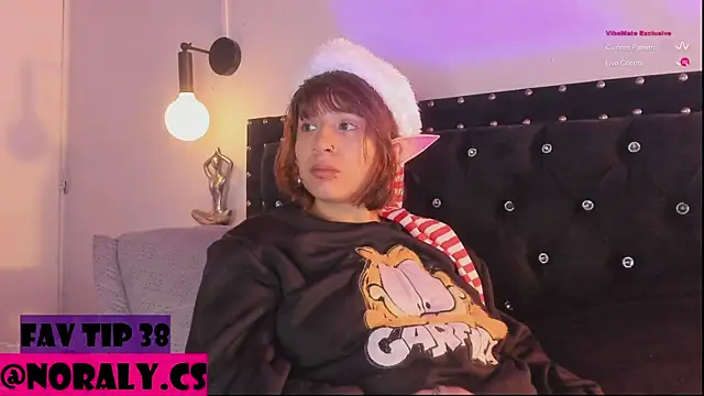 hey_noraly webcam