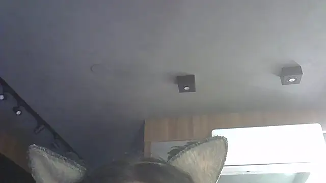SkinnyKitten webcam