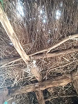 chinki_pande (F young) - #anal #anal-doggy-style #anal-fingering #anal-indian #anal-petite #anal-young #cam2cam #cheapest-privates #cheapest-privates-indian #cheapest-privates-young #doggy-style #fingering #fingering-indian #fingering-young #hd #indian #indian-young #mobile #mobile-young #most-affordable-cam2cam #new #new-cheapest-privates #new-indian #new-mobile #new-petite #new-young #petite #petite-indian #petite-young #young