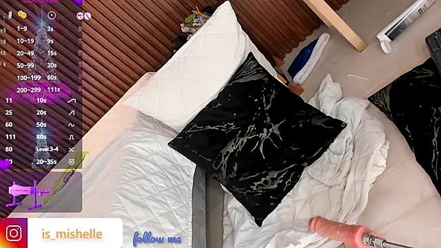 _mishelle webcam