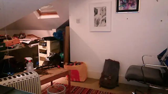 mista_sista_fista webcam