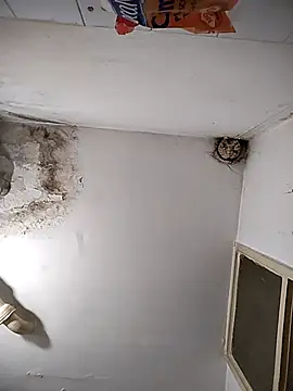 SheTheDeeevil webcam