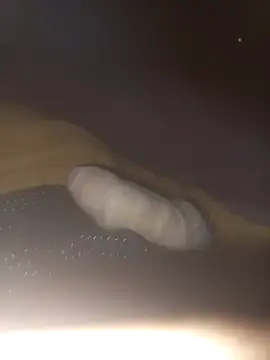 Eldelas_guachas webcam