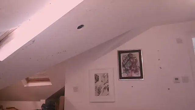 mista_sista_fista webcam